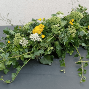 Raquette Deuil "Dubhé"