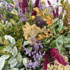 zoom devant de tombe